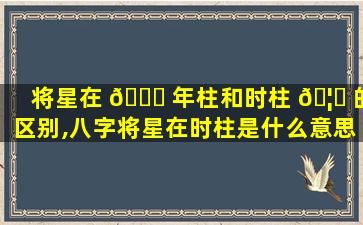 将星在 🐋 年柱和时柱 🦍 的区别,八字将星在时柱是什么意思